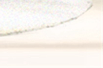 鼠与什么属相冲，属猪的几点出生有福气