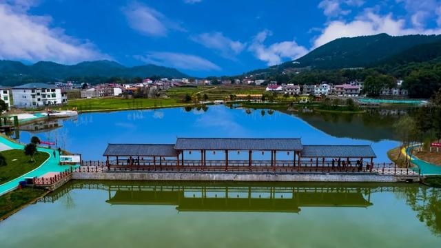 023年黑兔，黑兔年会是地极移大灾难"