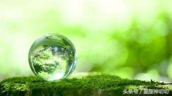 农历几月份出生女善良，农历几日最善良