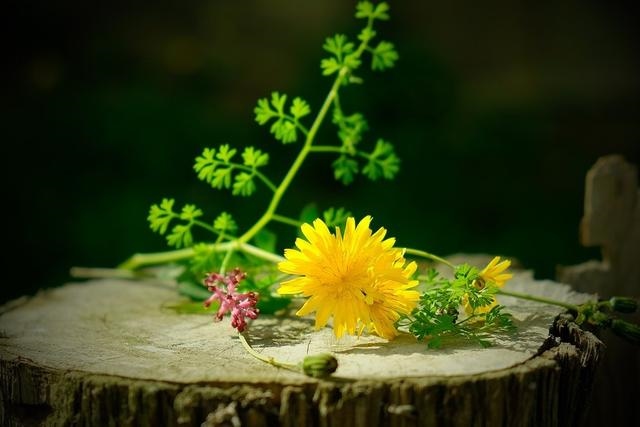 6年属鼠人注定的婚姻，96属鼠人的婚姻与命运"