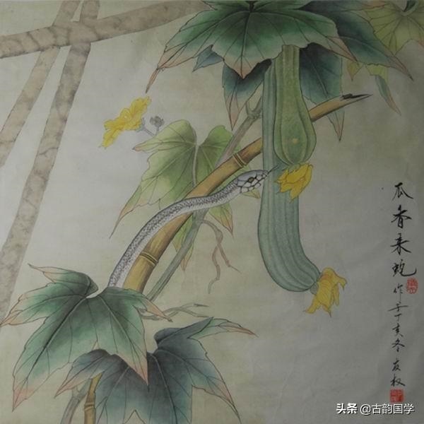 兔子生鼠宝宝好吗，属兔适合生属牛宝宝吗