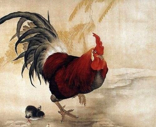 属马的与属猴的婚姻怎么样，属猴男配属马女好不好