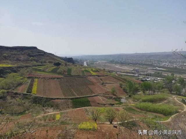 三十多岁属兔的人今年多大，兔出生年份今年几岁