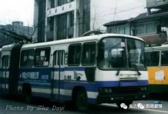 975属兔人交运是什么时候，1975年属兔交运防什么"