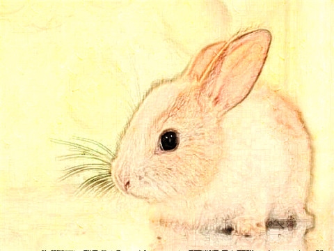 022属兔人全年运势男,1975属兔45岁以后运气"