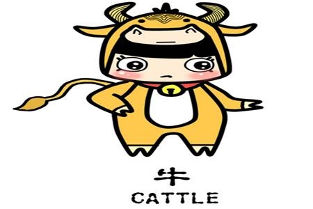 022年属马的多大了,属马2022年全年运势和运程"