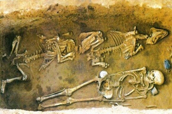 龙有关系的动物打一生肖，龙飞凤舞的生肖是什么