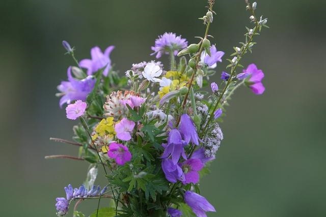 7年女兔2022年婚姻，1987年兔33岁后财运2022"