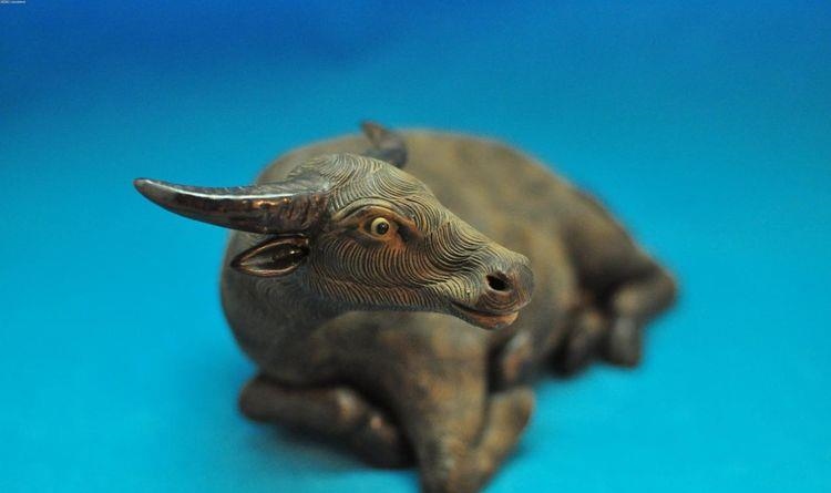 985年的牛适合什么行业，1985年属牛男适合做什么行业"