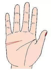 桃花运的征兆手相,手相怎么看桃花运