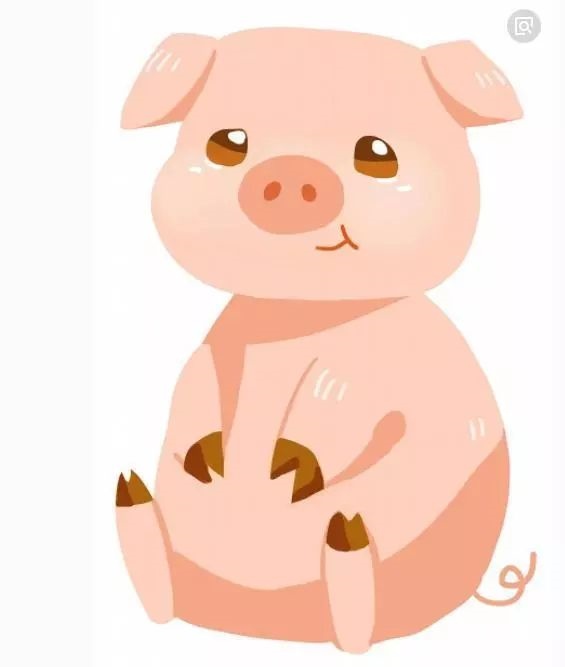 属猪男与属马女相配吗，属马女的和属猪男相最配