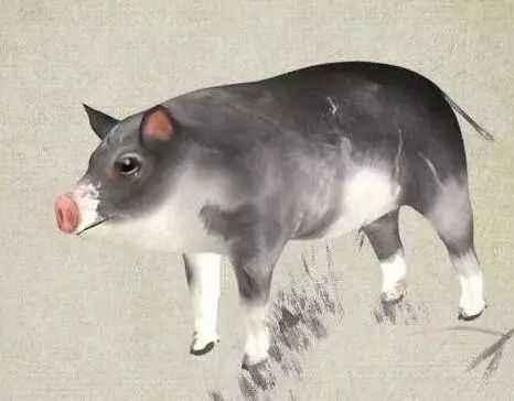 属马的与属猴的婚姻怎么样，属猴男配属马女好不好