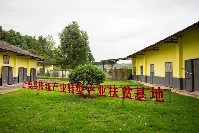023年黑兔，黑兔年会是地极移大灾难"
