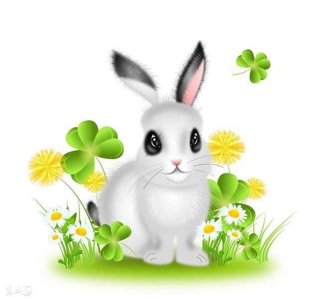 属兔的今年更大年龄多少，数兔的2022 年多大年龄