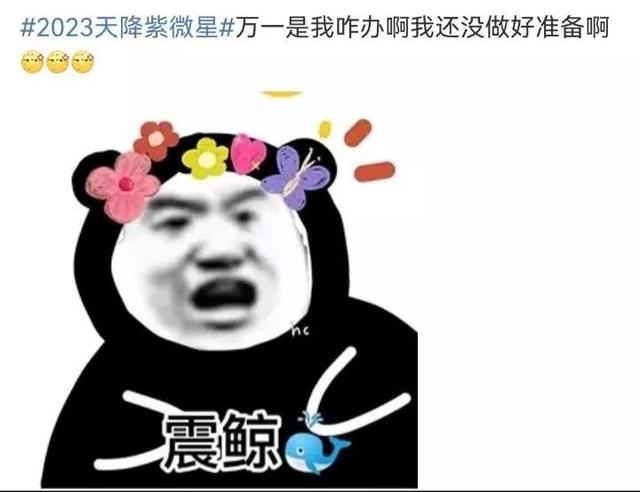 023年天降紫微星，圣女最近的处境"