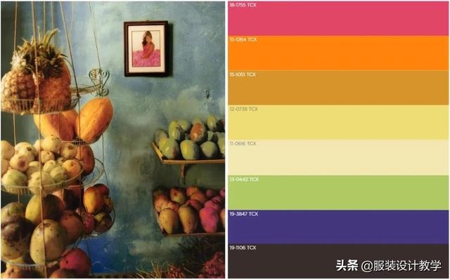 023年的兔是什么颜色的兔，2023年黑兔年预言"