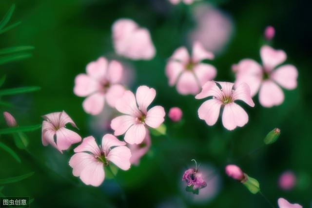 977年属蛇人今日运势，1977年属蛇人2022