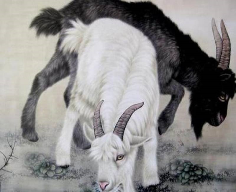 属羊的年份年龄，生肖属羊的2022 运程