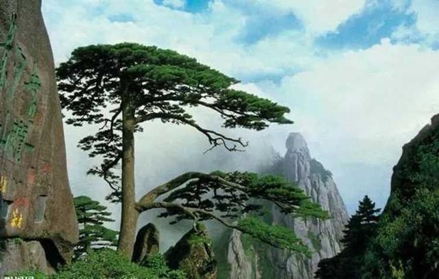 04岁属什么生肖，女猴和什么生肖最配"