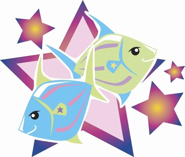 7兔什么时候遇见真爱,dr查询真爱编码"