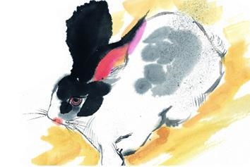 最会玩死别人的生肖女,心机很重女人生肖