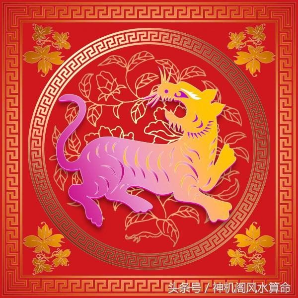 农历十一月的蛇的婚姻，1977年属蛇的是什么命