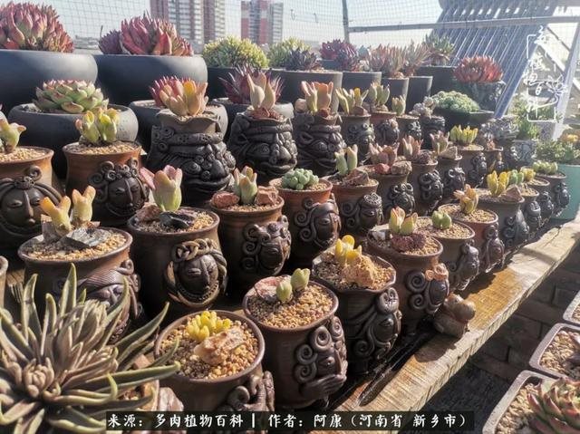 属龙的哪天出生最苦，属龙生在几月最命苦