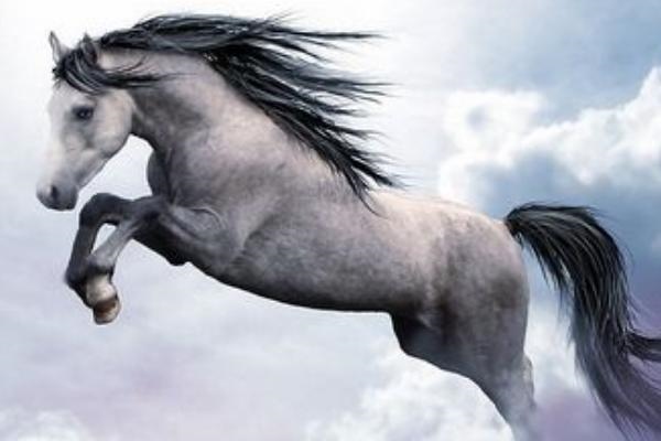 属虎的今年多大年龄表，属虎的今年多大2022 年