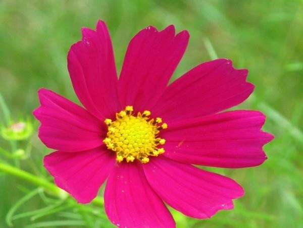 963年出生命运，1963年属兔人晚年命运"