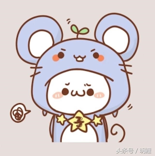 022年十二生肖财运排名，2022年属虎运程"