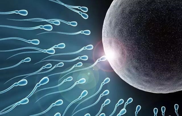 想生男孩要禁欲多久 *** 质量好,禁欲多久 *** 质量更好