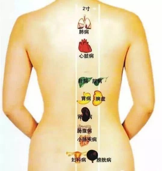 婚配五行相生相克口诀，12生肖五行相生相克表