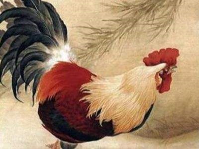 属兔的属猴的两个结婚好不好，属兔与属猴婚配好不好