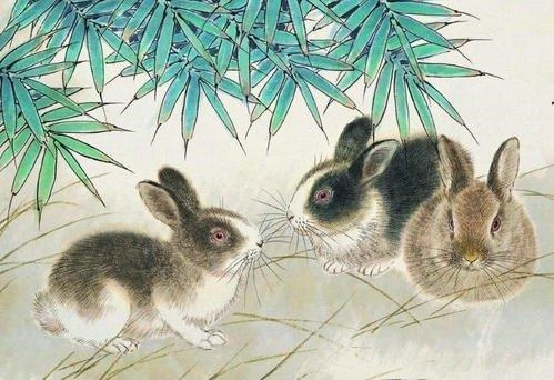 属兔的过了36岁就顺了，属兔人要珍惜的2个人