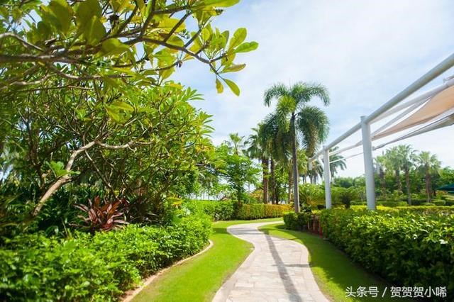 李居明九运的预测,九运中国最旺的地方