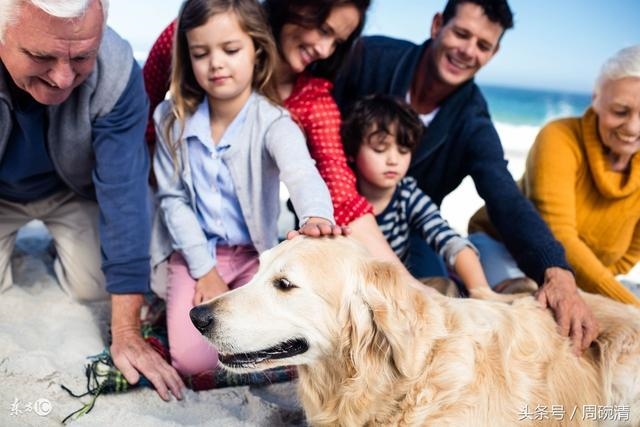 属狗人2022年财运方位，82年属狗什么时候翻身