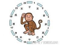 属兔人富贵双全的时辰，生肖兔什么时辰出生好