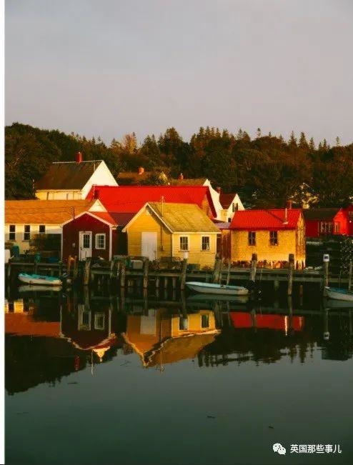 022年兔和牛合拍不,87年属兔34岁2022运势"