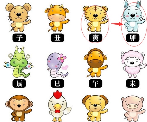 男兔婚配什么生肖更好，属兔男和什么属相最配对