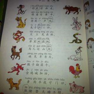 十二属相相冲口诀，十二生肖刑冲克害口诀