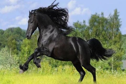 属马今年都是多少岁,属马今年66岁怎么样