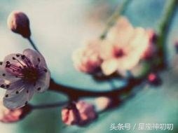 农历几月份出生女善良，农历几日最善良