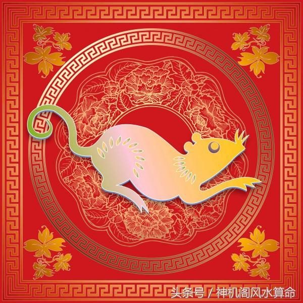 农历十一月的蛇的婚姻，1977年属蛇的是什么命