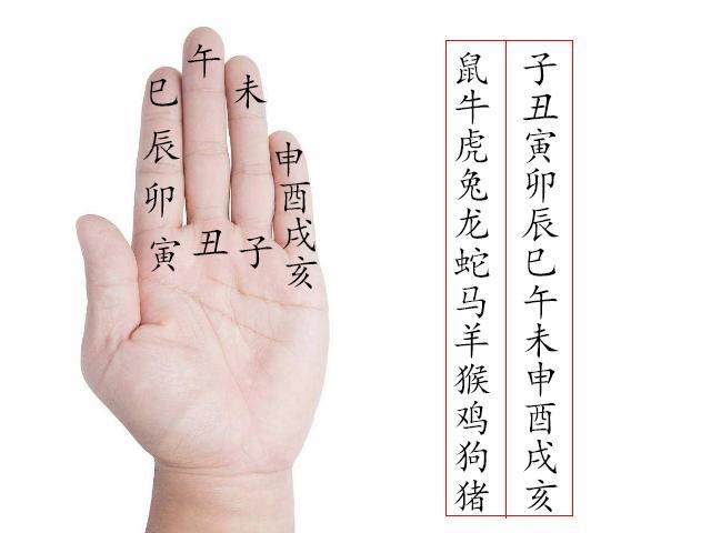 属兔45岁是哪一年生的，2022 年属狗人的烂桃花