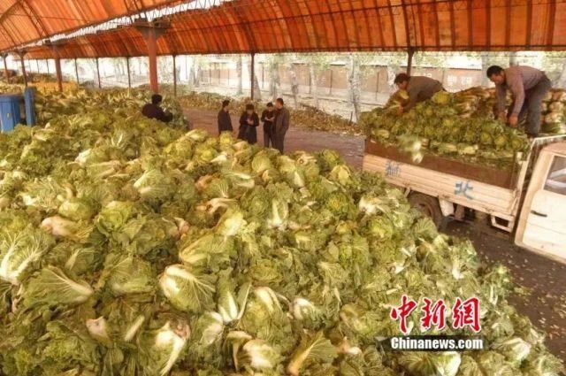 八几年属马的是哪一年出生的，八七年属什么生肖