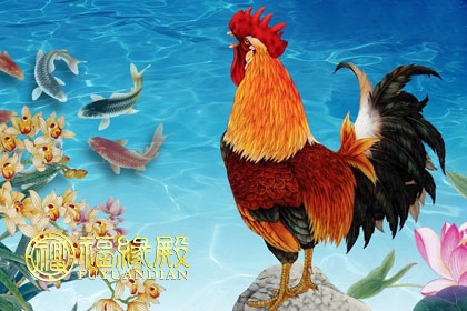 9年男兔婚配属相更好，1999年男兔婚配上等婚"