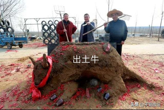 十二生肖的主要内容，十二生肖简短故事50字