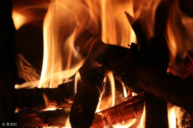 狗和属兔的婚配好吗，狗和兔为什么那么配