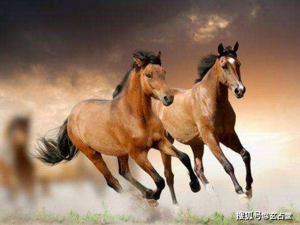 8年属马人今年多大了，1978年属马人2022