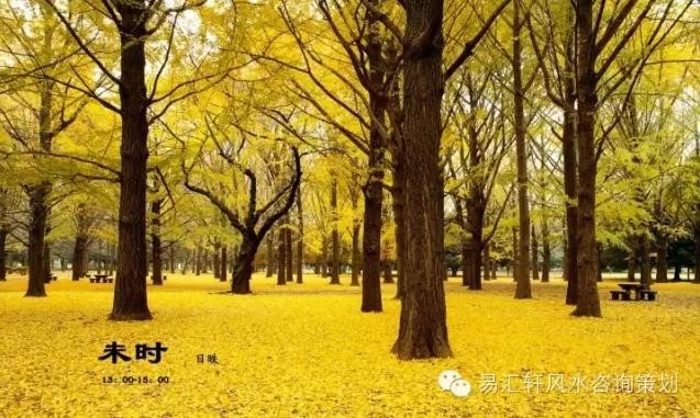 属龙几点钟出生最享福命，属龙男最怕几月出生